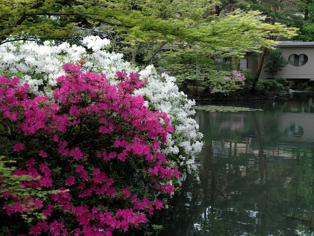 Matsusaki Nomi Dış mekan fotoğraf
