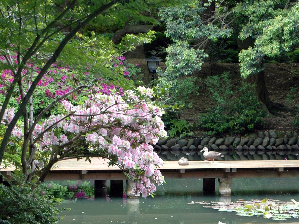 Matsusaki Nomi Dış mekan fotoğraf