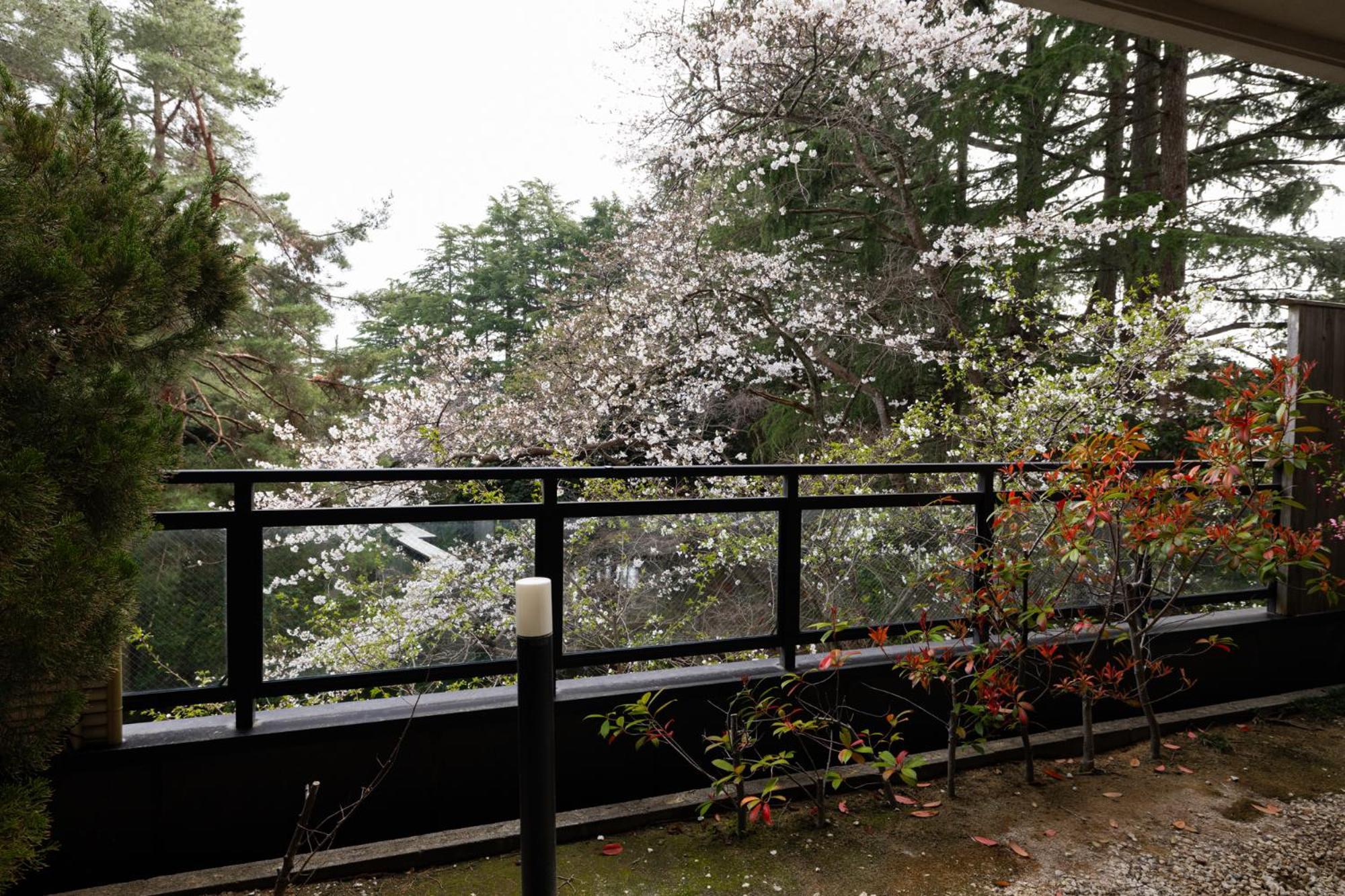 Matsusaki Nomi Dış mekan fotoğraf